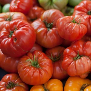 Beefsteak Tomato Plant Live - 4 Inch Pot - Large Slicing Tomatoes for Gardens - Image 4