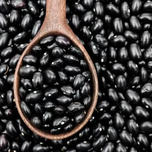 Black Bean Bush Plant Live Vegetable Seedling – 4 Inch Pot - Image 2