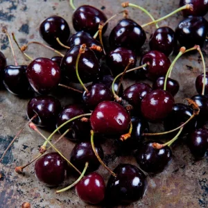 Black Cherry Tree Seedling - Live Plant for Outdoor Growing - 4 to 6 Inches Tall - Image 4