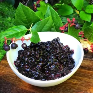 Black Salal Berry Live Plant - 4-7 inch Tall - Evergreen Shrub for Shade - Image 5