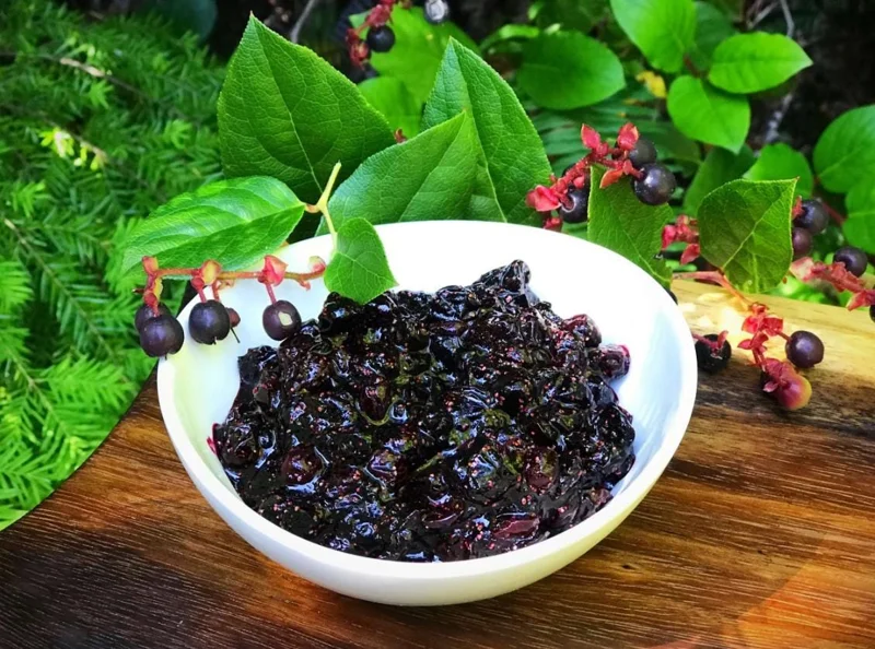 Black Salal Berry Live Plant - 4-7 inch Tall - Evergreen Shrub for Shade - Image 5