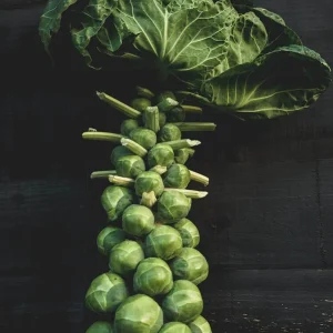 Brussels Sprout Seeds - Jade Cross E Variety - 1000 Seeds for Outdoor Gardening - Image 3