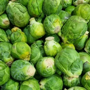 Brussels Sprouts Live Plants – 2 Pack, 4 Inch Pot – Outdoor Vegetable Plant - Image 4
