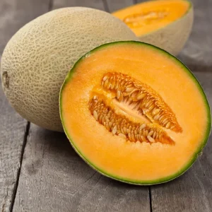 Cantaloupe Live Plants for Planting – 2 Plants, 3 to 5 Inch Tall Melon - Image 3
