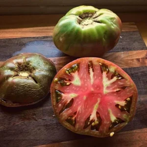 Cherokee Tomato Plant – Live Heirloom Slicing Tomato – 4 Inch Pot – Outdoor Vegetable - Image 4