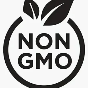 Culantro Seeds (Recao) Non-GMO Ngo Gai for Sofrito & Pho - Herb Seeds - Image 5