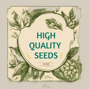 Culantro Seeds (Recao) Non-GMO Ngo Gai for Sofrito & Pho - Herb Seeds - Image 8