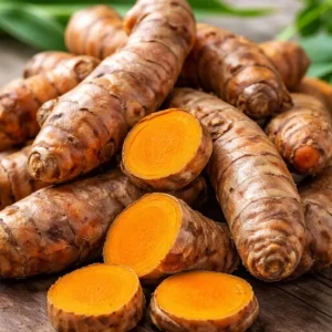 Curcuma Turmeric Root for Planting - 10 Pack Live Roots - Indoor/Outdoor - Image 5