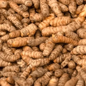 Curcuma Turmeric Root for Planting - 10 Pack Live Roots - Indoor/Outdoor - Image 6