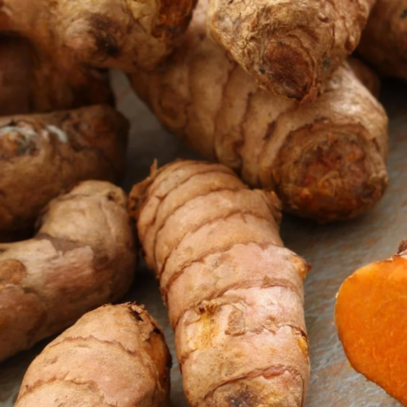 Curcuma Turmeric Roots - Live Plant Rhizomes, Ready to Plant, Pack of 15 - Image 6