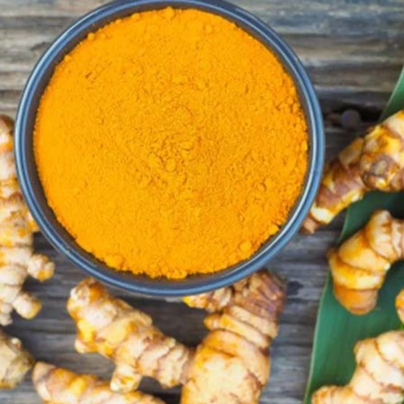 Curcuma Turmeric Roots - Live Plant Rhizomes, Ready to Plant, Pack of 15 - Image 7