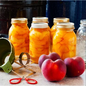 Elberta Peach Tree Live Plant – Sweet Grafted Starter – 6 to 12 Inch Tall - Image 5