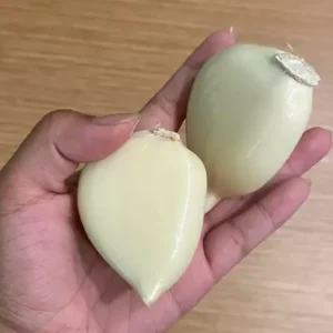 Elephant Garlic Bulbs & Seeds - Fresh Harvest, Healthy, USA Grown - Image 2