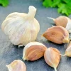 German Red Garlic Seeds - Non-GMO, Healthy, Fast Growing - 500+ Count - Image 1