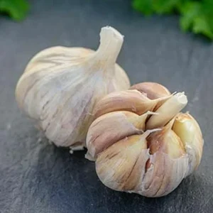 German Red Garlic Seeds - Non-GMO, Healthy, Fast Growing - 500+ Count - Image 6