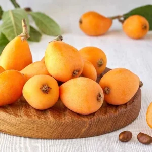 Golden Loquat Tree Live Plant – Healthy Seedling in 4 Inch Pot – Tropical Fruit - Image 6