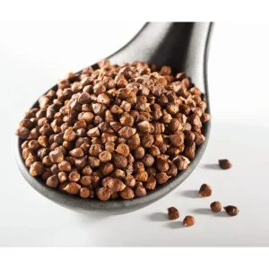 Grains of Paradise Live Starter Plant, Alligator Pepper, 4-8 Inch Tall - Image 4