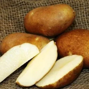 Heirloom Potato Seeds for Planting - Mixed Variety Vegetable Seeds - Image 4