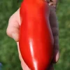 Heirloom Super Italian Paste Tomato Seeds - 100 Seeds - Large 6-10 oz Fruit - Image 1