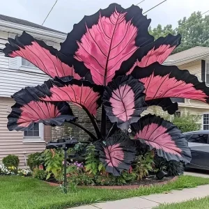 Hosta Seeds - 160+ Perennial Shade Plant Seeds - Non-GMO, Hardy - Image 5