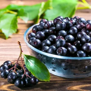 Huckleberry Live Plants - Set of 2, Sweet Black, 4-7 Inch Tall, 4 Inch Pot, Outdoor Planting - Image 4