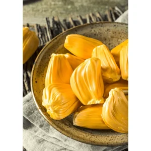 Jackfruit Live Plant – Sweet Fruit Tree – 6-8 Inches Tall in 4 Inch Pot – Outdoor - Image 5