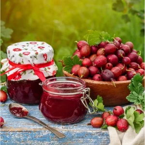 Jeanne Gooseberry Live Plant – Disease Resistant Berry Bush – 5-10 Inch Tall - Image 5