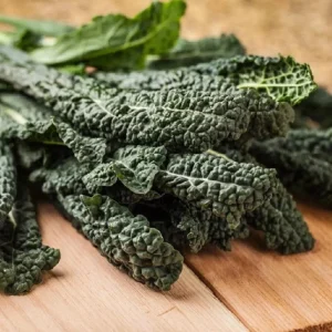 Lacinato Kale Live Plant (Blue Kale) – 4 Inch Pot – Vegetable Garden Seedling - Image 5