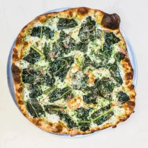 Lacinato Kale Live Plant (Blue Kale) – 4 Inch Pot – Vegetable Garden Seedling - Image 8