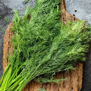 Live Dill Herb Plant – 3-inch Tall Culinary Herb for Home Gardens – Annual - Image 4