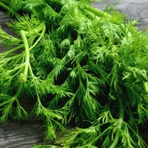 Live Dill Herb Plant – 3-inch Tall Culinary Herb for Home Gardens – Annual - Image 5