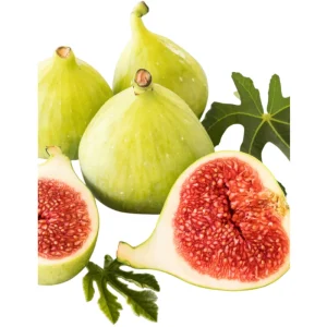 LSU Gold Fig Tree Live Starter Plant, Ficus Carica, 4-8 Inch Tall Fruit Tree - Image 2