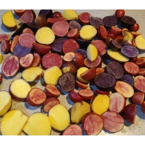 Mixed Color Potato Tubers for Planting - 2 Lbs Seed Potatoes - Image 2