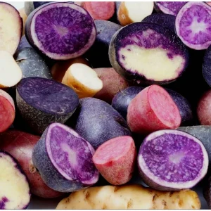 Mixed Color Potato Tubers for Planting - 2 Lbs Seed Potatoes - Image 3