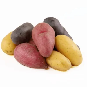 Mixed Color Potato Tubers for Planting - 2 Lbs Seed Potatoes - Image 4