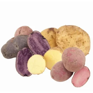 Mixed Color Potato Tubers for Planting - 2 Lbs Seed Potatoes - Image 5