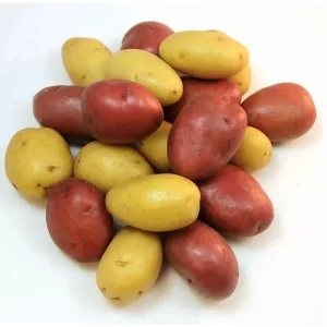 Mixed Color Potato Tubers for Planting - 2 Lbs Seed Potatoes - Image 1