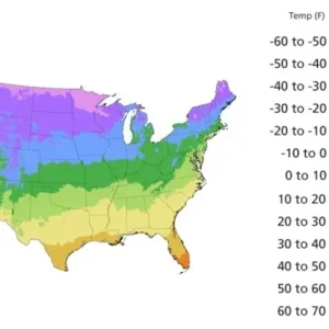 Mixed Sedum Seeds - Stonecrop Succulent Groundcover - Perennial - 100+ Seeds - Indoor/Outdoor - Image 6