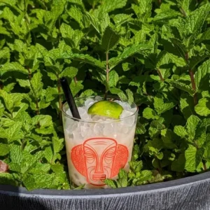 Mojito Mint Live Plant – 7-inch Tall Culinary Herb – 4.5-inch Pot – Indoor/Outdoor - Image 4