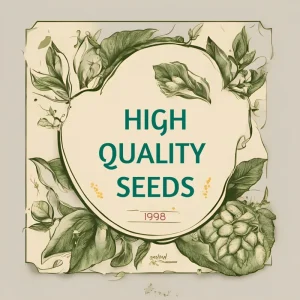 Mother of Millions Seeds (Kalanchoe tubiflora) - Drought Tolerant Succulent Plant - 25 Seeds - Image 3