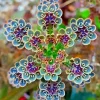 Mother of Millions Seeds (Kalanchoe tubiflora) - Drought Tolerant Succulent Plant - 25 Seeds - Image 1