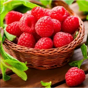 Nantahala Thornless Raspberry Live Plant, Pack of 2, 4-8 Inch, Everbearing Red Berries - Image 7