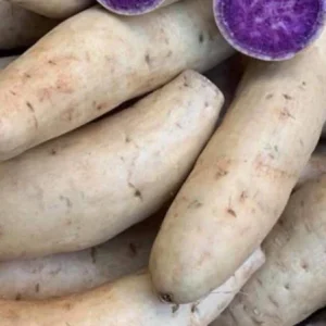 Okinawa Purple Sweet Potato Plants - 3 Live Slips for Edible Garden - Image 2