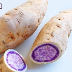 Okinawa Purple Sweet Potato Plants - 3 Live Slips for Edible Garden - Image 3