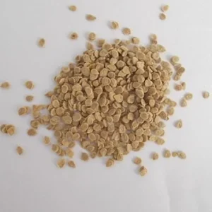 Orange Accordion Tomato Seeds - 25 Heirloom Tomato Seeds for Planting - Image 6