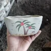 Palm Tree Ceramic Succulent Planter Pot with Drainage Hole - Garden Decor - Image 1