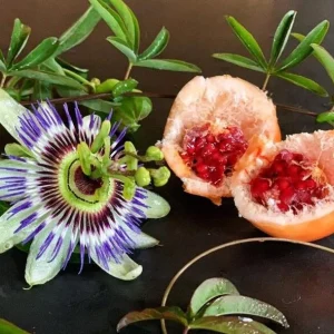 Passiflora Blue Live Plant - Blue Passion Vine for Garden, 4-6 Inch Tall - Image 6