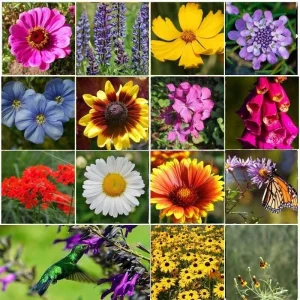 Perennial Wildflower Seed Mix - 1200+ Heirloom Seeds, Pollinator Food, Outdoor - Image 1