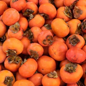 Persimmon Live Tree Plant - 6-12 Inch, Quart Pot - Sweet Fruit, Fall Color - Image 7