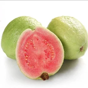 Pink Guava Live Plant – 4-6 Inch Starter Tree – Tropical Fruit Guava Seedling - Image 7
